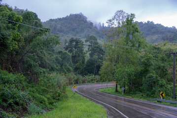 Foggy road in the forest ,Beautiful nature trail (Picture put grain)