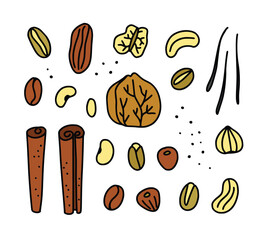 Nuts doodle illustrations. Cute nuts and spices illustrations on white background