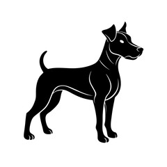 black dog isolated on white