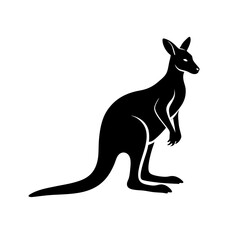 kangaroo illustration