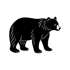 illustration of a bear