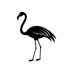 flamingo silhouette isolated on white