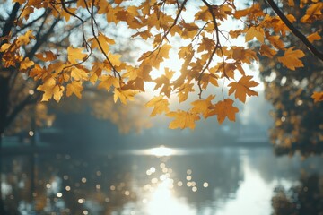 Beautiful Autumn Scene with Golden Leaves and Warm Sunshine Perfect for Nature Lovers and Travel Enthusiasts