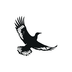 Silhouette of a Flying Bird with Open Wings