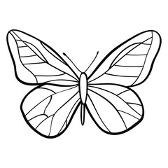 black and white butterfly