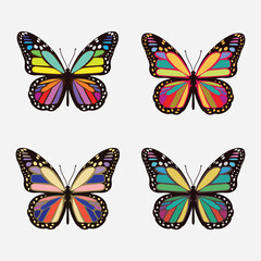 Hand drawn Colorful Butterfly illustration vector Collection
