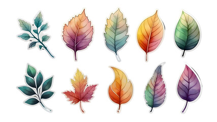 Fototapeta premium Leaf pattern png