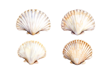 Four Scallop Shells on Abstract Background