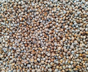Top view of pearl millet or bajra seed on background.