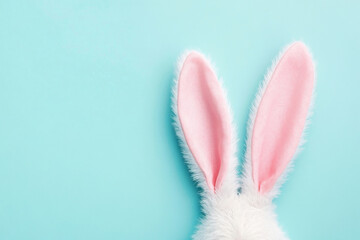 Obraz premium White fluffy bunny ears peek from edge on vibrant blue background. Happy Easter greeting card. Spring banner with copy space