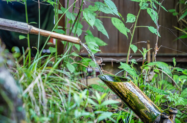 Close up detail with a water pipe fountain made of bamboo stem. Water fountain for purification called temizuya at a Zen Buddhist temple