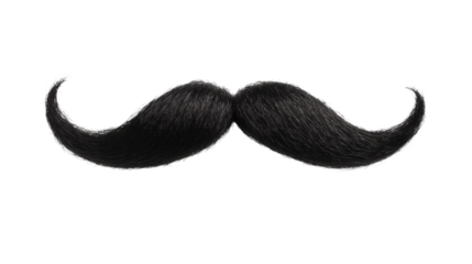 Black mustache isolated on white background 