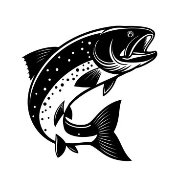 illustration of a fish silhouette animals vector brown trout  logo 