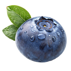 blueberries on a leaf