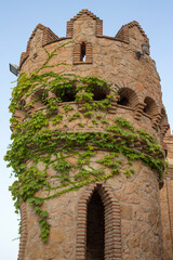 Fototapety na wymiar - Fototapeta24.pl