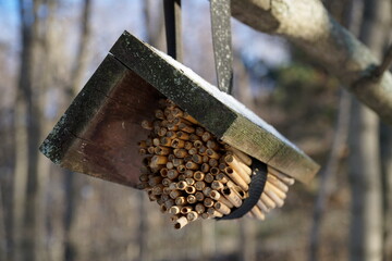 Food for animals in winter - wooden bird feeder