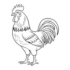 Elegant Rooster Line Art: Perfect for Coloring and Farmhouse Decor