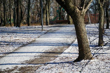 Park alley covered with snow on sunny day in winter