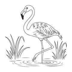 Tropical Flamingo Sketch Minimalist Wetland Bird Drawing