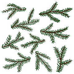 Image of Christmas fir branch, evergreen tree, fir, cedar twig, vector icon, winter plants, New Year tree, festive decoration. Natural diverse branches. Insulated decor for decoration. Hand-drawn illustration printed on Printed Glass Basin Splashbacks