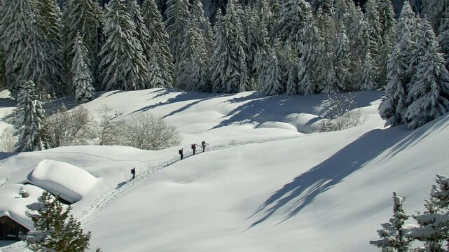 ue a&eacute;rienne avec randonneurs, chalet sous la neige et sapins blancs, 