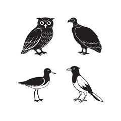 Almost extinct birds bundle with silhouette outline