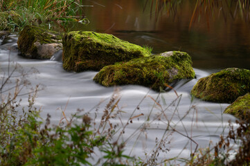 Island In the stream