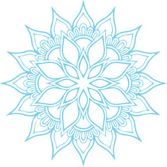 Beautiful flower art and mandala vector design