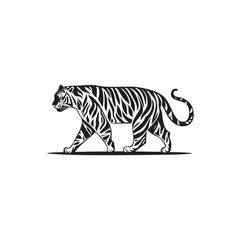 tiger illustration
