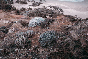 Atlantic Ocean on the coast of North Africa Morocco