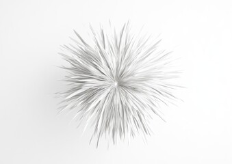 Obraz premium White Abstract Burst Graphic Minimalist Design Element