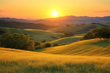 Golden sunset over rolling hills, where the setting sun casts a warm glow on the landscape, creating a serene and picturesque view.