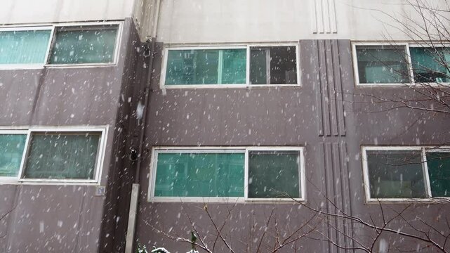This is a video of snow falling inside an apartment complex.아파트 단지 내에 눈이 내리는 영상입니다.