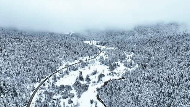 Flying over a road through the forest in the winter with snow