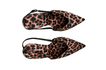 High heel leopard print shoes no background flat lay top view bottom view