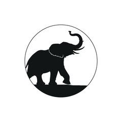 Elegant Power In The Shadow Of The Circle