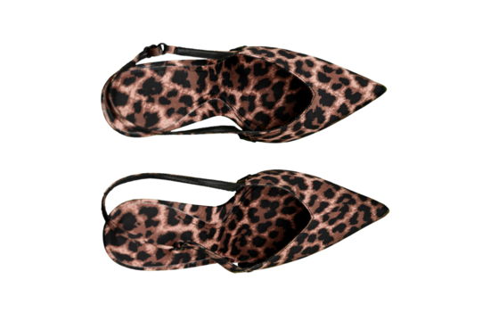 High heel leopard print shoes no background flat lay top view bottom view