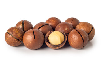 Macadamia nuts display showcasing their hard shells and creamy interior in a bright setting