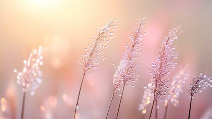 Dew-kissed grass at sunrise, soft-focus background, nature serenity, ideal for calming design