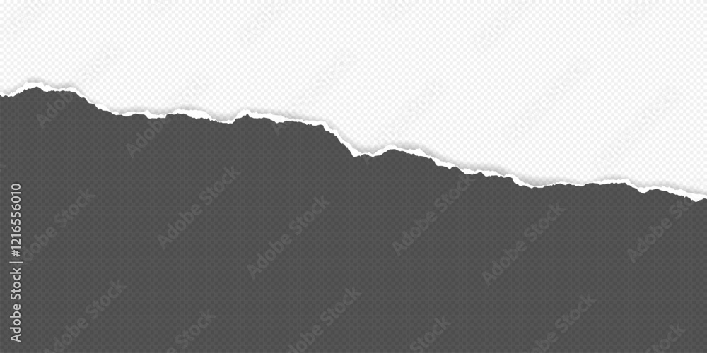 Poster dark grey and white piece of paper with torn edge and soft shadow are on white background for text o