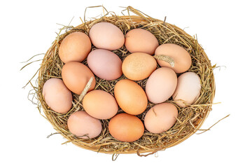 fresh chicken eggs with nest isolated on white background. top view, farmer eggs in chicken eco farm, free range chicken farm