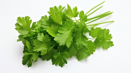 Fototapeta premium Fresh cilantro bunch on a white background ready for culinary use in various dishes and garnishes