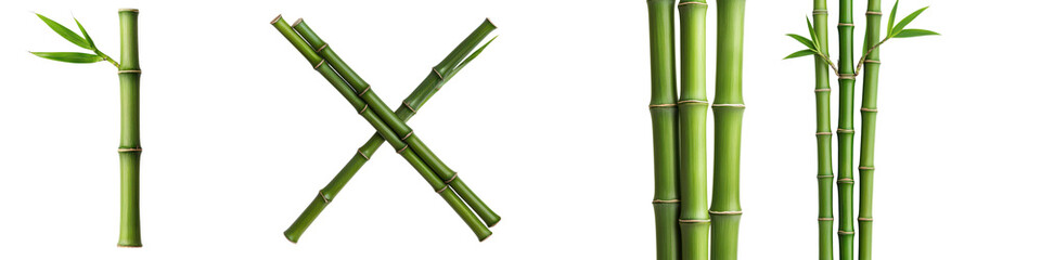 Obraz premium Serene Bamboo Forest Landscape Inspiring Natural Tranquility and Environmental Harmony Peaceful Zen Inspired Nature Scenery with Green Bamboo Stems Leaves and Minimalist Atmosphere