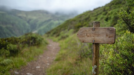 A marked hiking trail with a wooden signpost in the foreground.