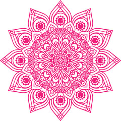 Beautiful flower art and mandala vector design