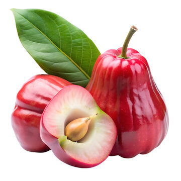 Rose apples slice isolated on transparent background