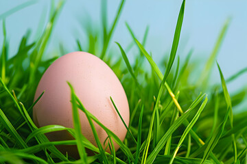 Fototapeta premium Fresh egg with a smooth surface on vibrant green grass with a clear sky backdrop
