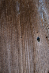 Obraz premium Abstract aged brown old wood texture in wood house