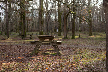 table de pique nique dans les bois en hiver