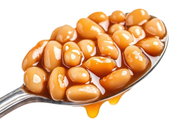 Spoonful of baked beans in savory sauce, isolated on transparent cutout background